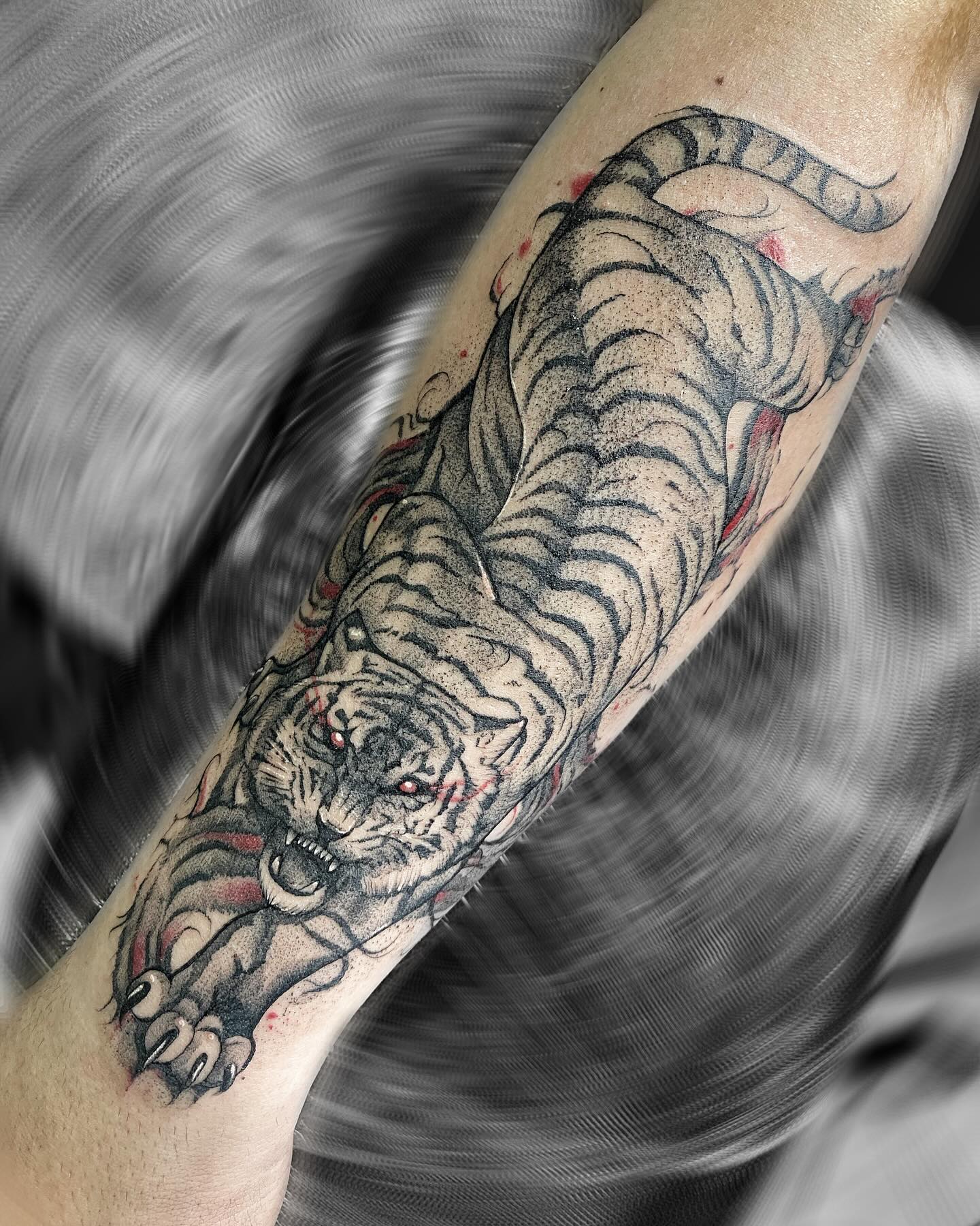Tatuaje de tigre en blackwork con pequeños detalles rojos cubriendo el antebrazo
